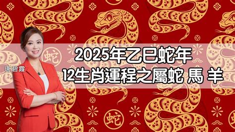 屬羊10年運勢|2025年屬羊運勢及運程 屬羊的人2025年每月運程